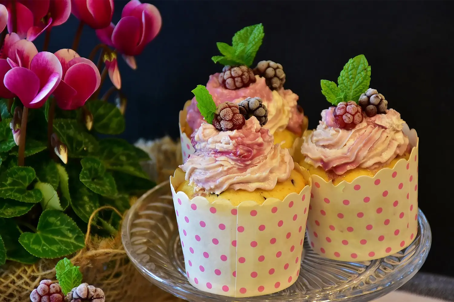 cupcake workshop cupcake workshop